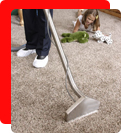 Carpet Steam Cleaning